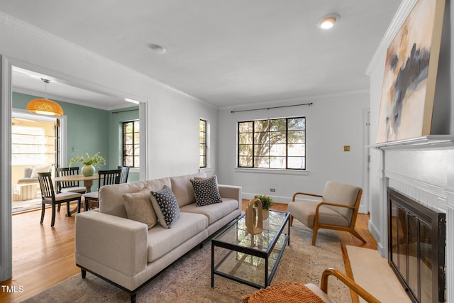 living room with crown molding, light hardwood / wood-style flooring, and a healthy amount of sunlight