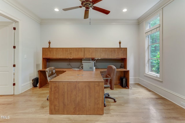 office space featuring ceiling fan, light hardwood / wood-style flooring, and ornamental molding