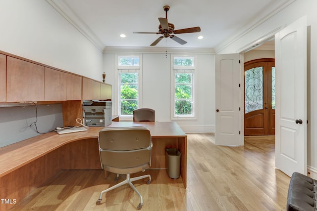 office featuring light hardwood / wood-style floors, crown molding, and ceiling fan