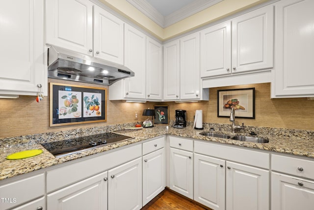 kitchen with white cabinetry, sink, and ornamental molding