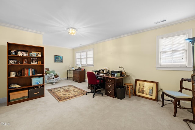 carpeted office space featuring plenty of natural light and crown molding