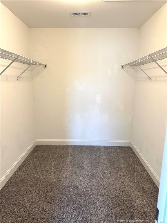 spacious closet featuring carpet