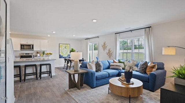 living room with light hardwood / wood-style floors