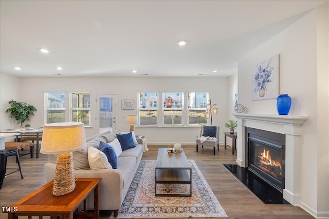 living room with hardwood / wood-style flooring and a wealth of natural light