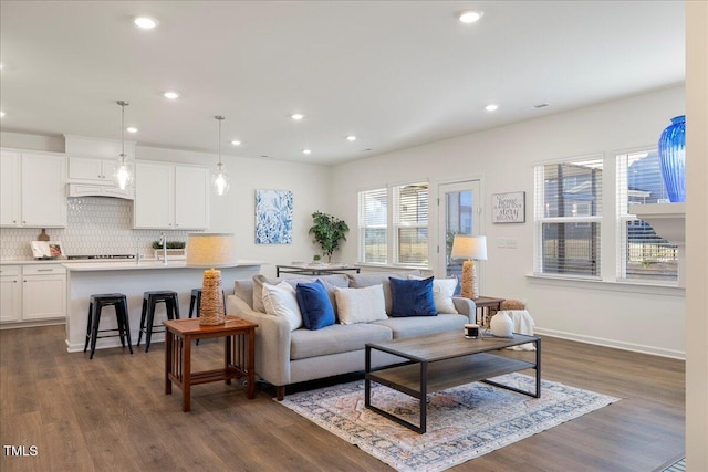 living room featuring dark hardwood / wood-style flooring