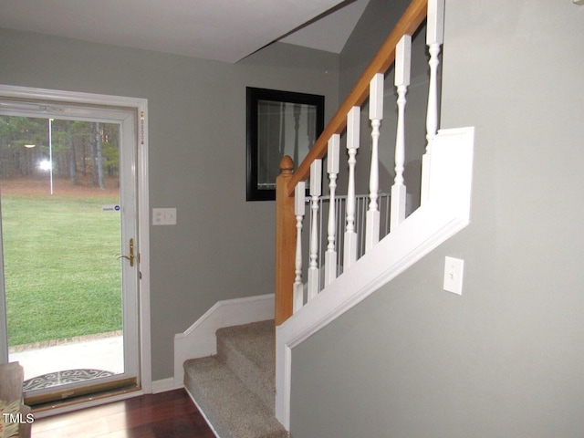 foyer featuring hardwood / wood-style floors and a healthy amount of sunlight