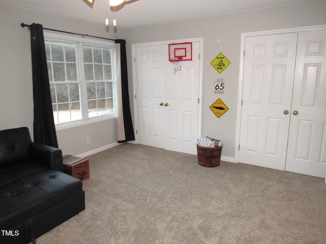 sitting room featuring carpet