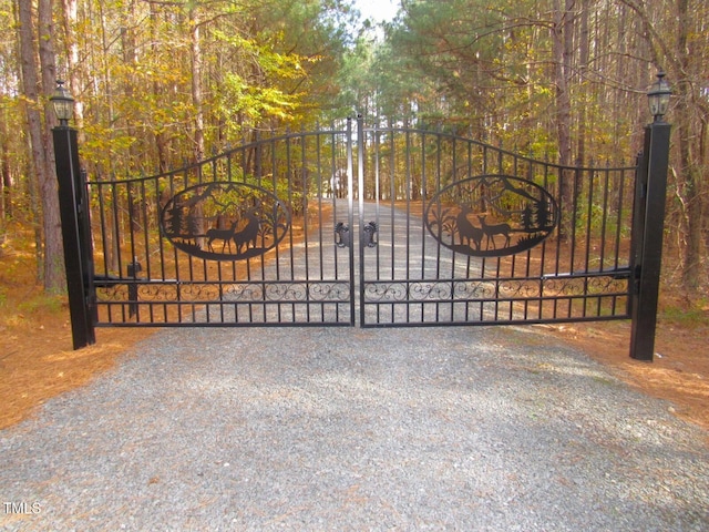 view of gate