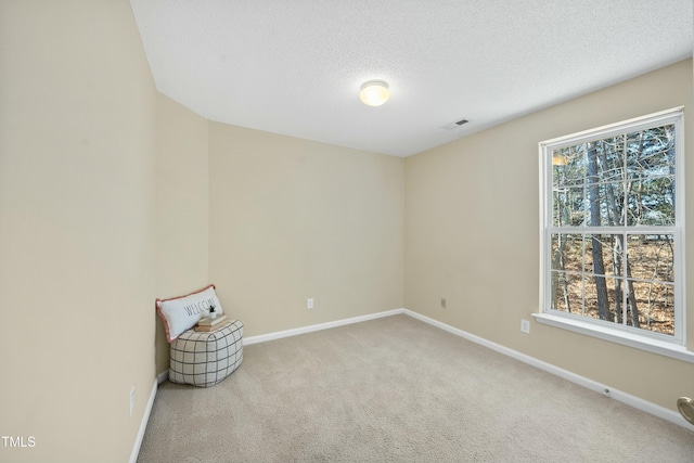 spare room with carpet floors and a textured ceiling