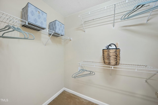 walk in closet with carpet