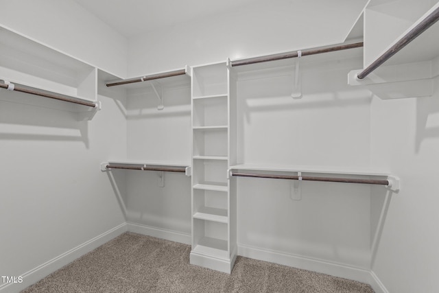 walk in closet with light colored carpet