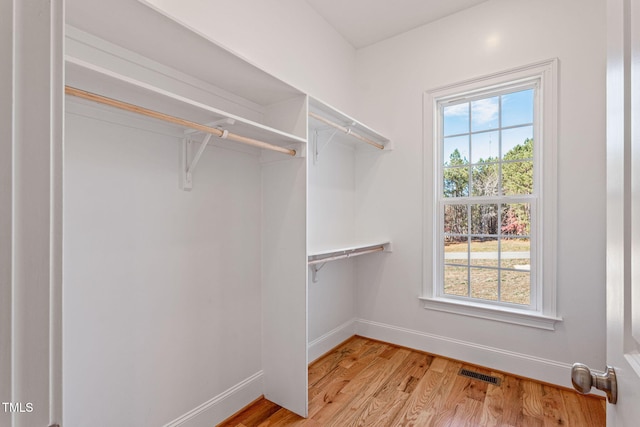 spacious closet featuring light hardwood / wood-style floors