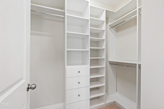 view of spacious closet