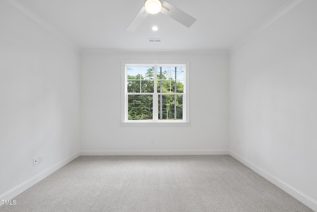 2637 Trifle Ln, Wake Forest, NC 27587 - photo 34