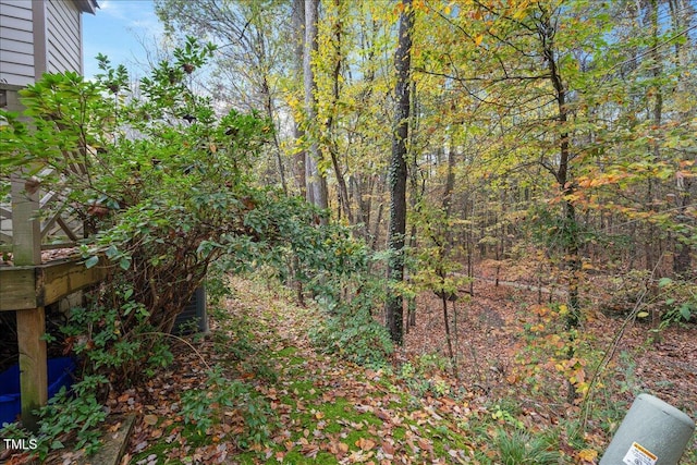 view of local wilderness