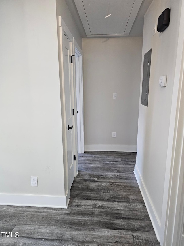 hallway featuring electric panel and dark wood-type flooring