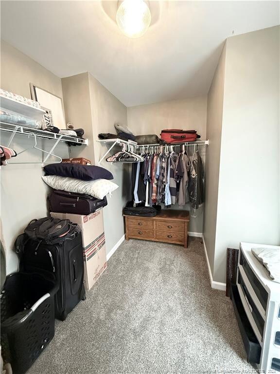 spacious closet with carpet flooring