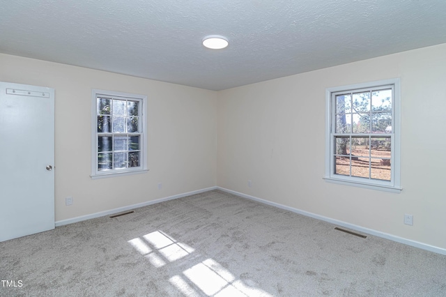 spare room featuring a textured ceiling and light carpet