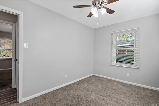 empty room featuring carpet floors and a wealth of natural light