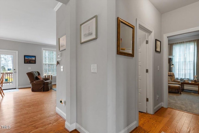 hall featuring light hardwood / wood-style floors and ornamental molding