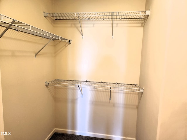 view of walk in closet