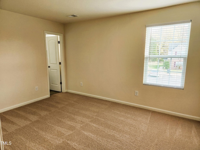 spare room with carpet