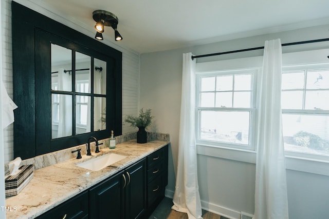 bathroom with vanity, wood-type flooring, and a wealth of natural light