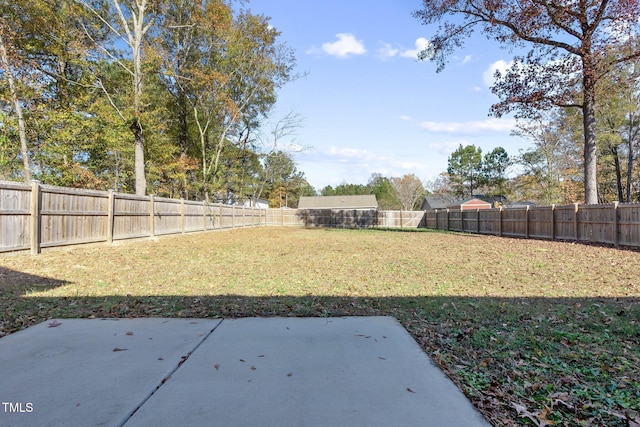 view of yard featuring a patio