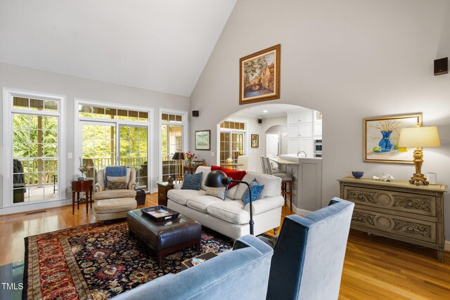 living room featuring light hardwood / wood-style floors, sink, and high vaulted ceiling