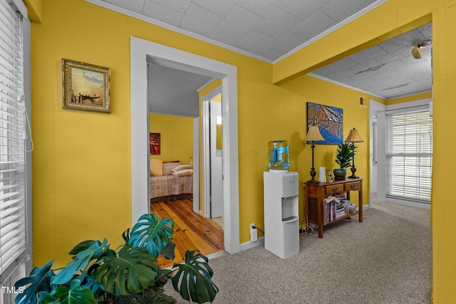 hallway featuring carpet floors and crown molding