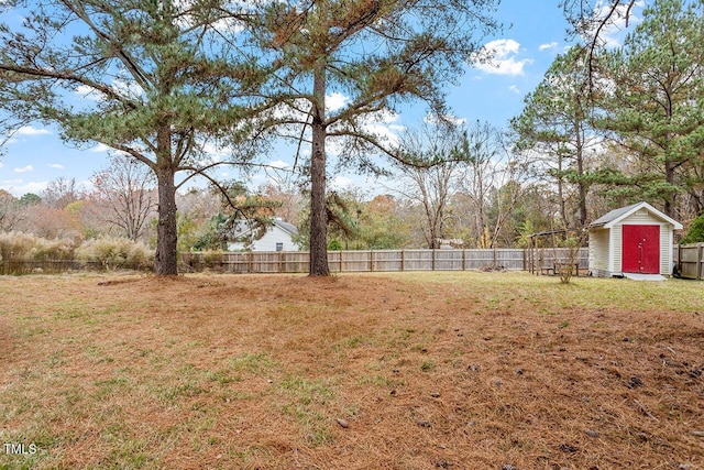 view of yard with a storage shed