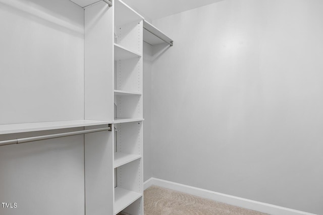 walk in closet with light colored carpet