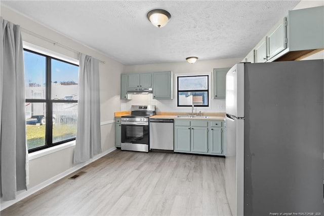 kitchen featuring a healthy amount of sunlight, light wood-style floors, appliances with stainless steel finishes, and a sink