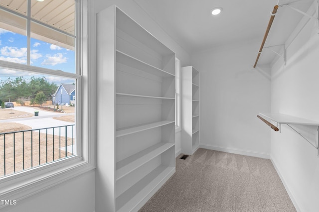 walk in closet featuring carpet flooring