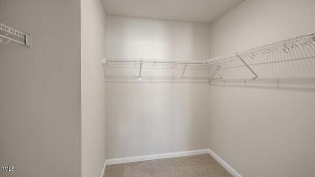 1825 Hinesley Dr, Durham, NC 27703 - walk in closet with carpet flooring