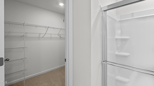 bathroom featuring an enclosed shower