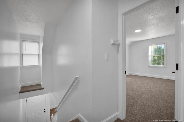 interior space featuring carpet flooring and a textured ceiling