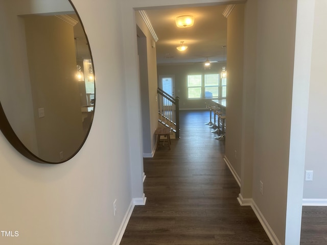 hallway featuring dark hardwood / wood-style flooring and ornamental molding