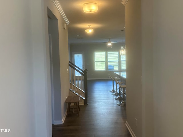 hallway with dark wood-type flooring and ornamental molding