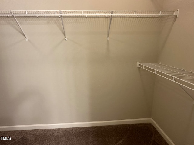 walk in closet with carpet floors