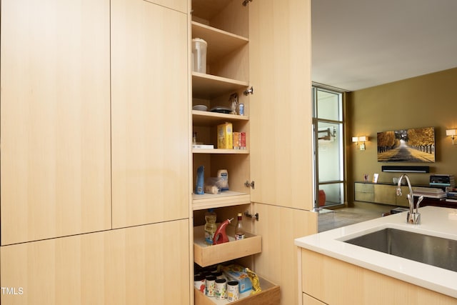 pantry featuring sink