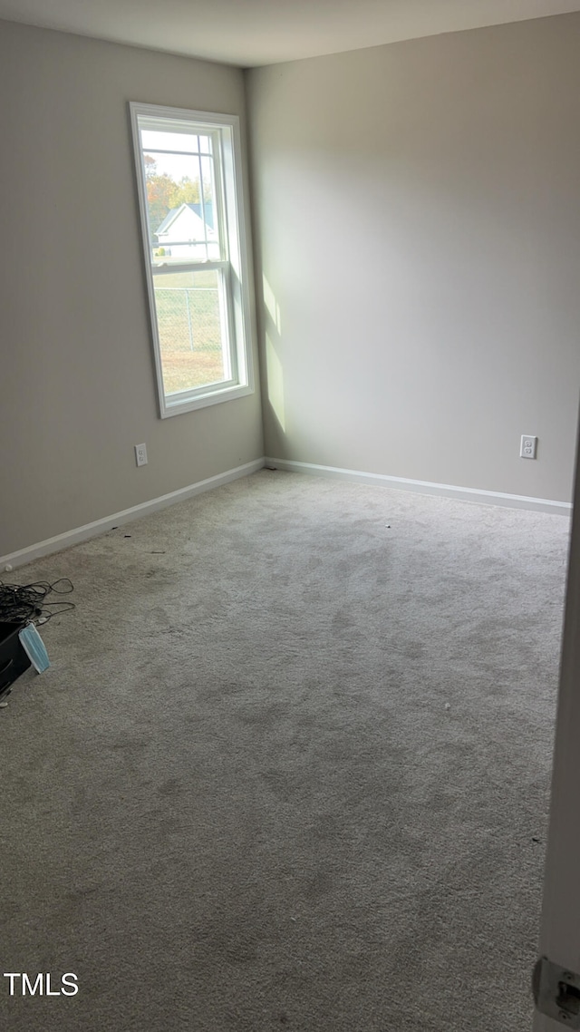 spare room with carpet