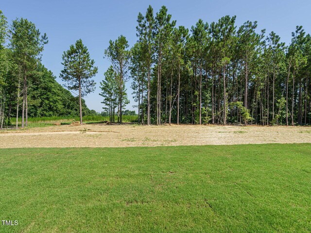 142 Batten Hill Ln, Selma, NC 27576 - photo 38