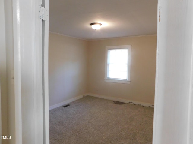 empty room featuring carpet and ornamental molding