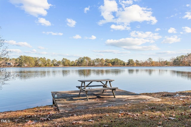 dock area featuring a water view