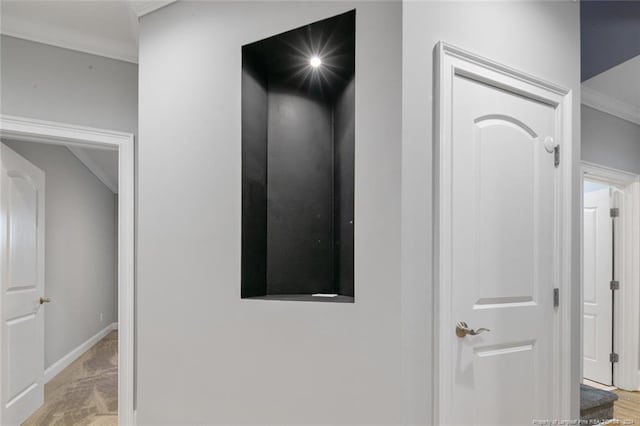 room details featuring crown molding and carpet