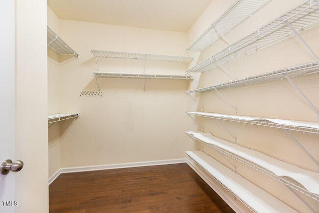 walk in closet featuring dark wood-style flooring