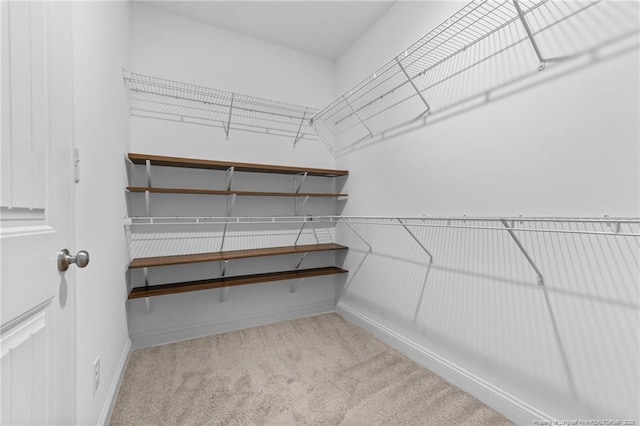 spacious closet featuring light carpet