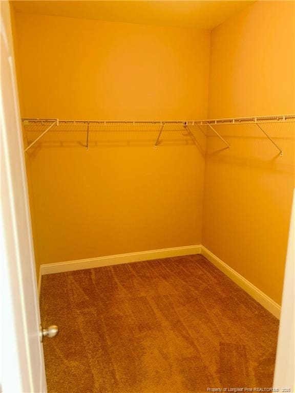 6605 Stillwood Dr, Hope Mills, NC 28348 - spacious closet with carpet floors