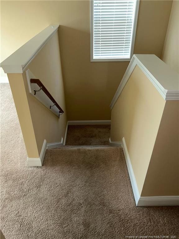 6605 Stillwood Dr, Hope Mills, NC 28348 - stairs with baseboards and carpet flooring